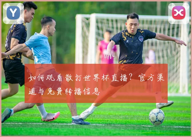 如何观看散打世界杯直播？官方渠道与免费转播信息
