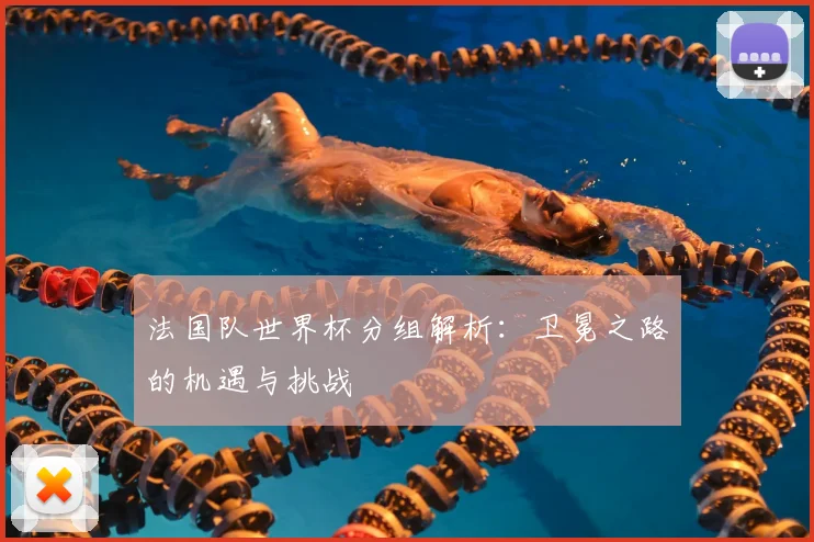 法国队世界杯分组解析：卫冕之路的机遇与挑战