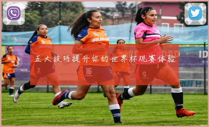 五大技巧提升你的世界杯观赛体验