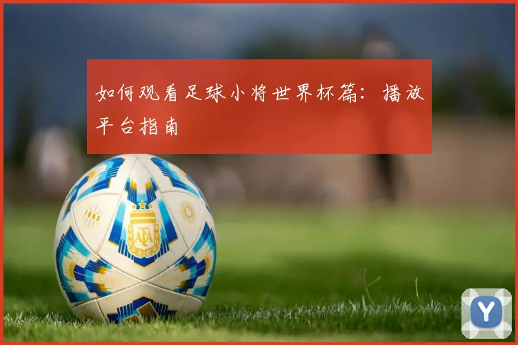 如何观看足球小将世界杯篇：播放平台指南