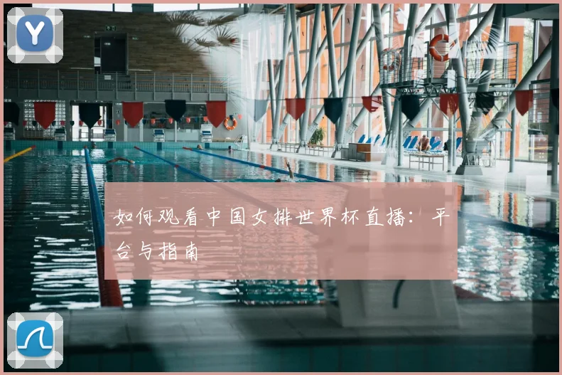 如何观看中国女排世界杯直播：平台与指南