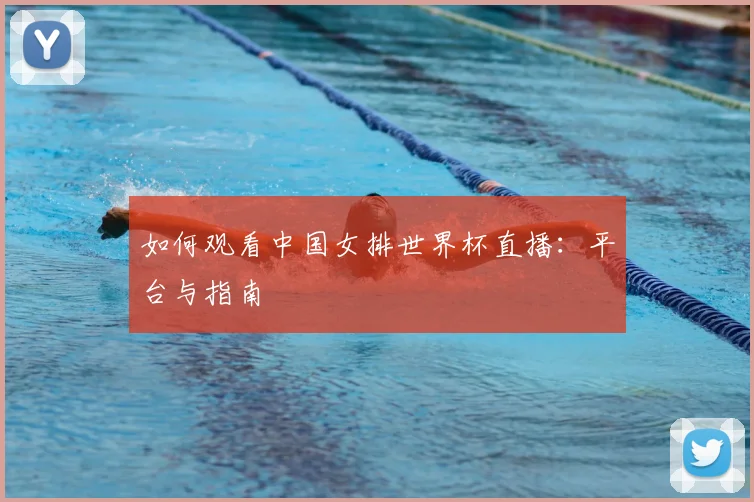 如何观看中国女排世界杯直播：平台与指南